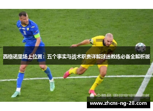 西格诺里场上位置：五个事实与战术职责详解球迷教练必备全解析版