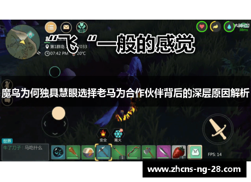 魔鸟为何独具慧眼选择老马为合作伙伴背后的深层原因解析