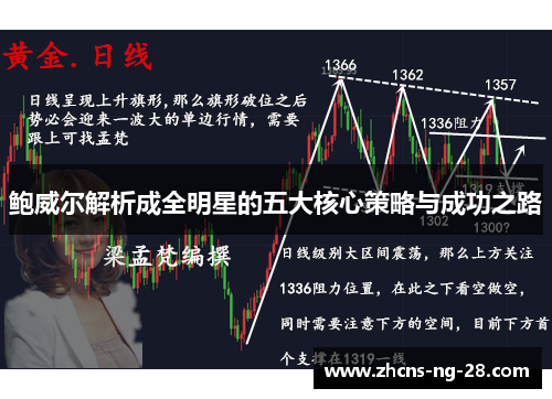 鲍威尔解析成全明星的五大核心策略与成功之路