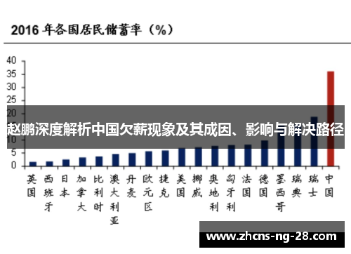 赵鹏深度解析中国欠薪现象及其成因、影响与解决路径