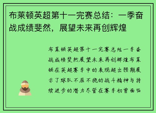 布莱顿英超第十一完赛总结：一季奋战成绩斐然，展望未来再创辉煌